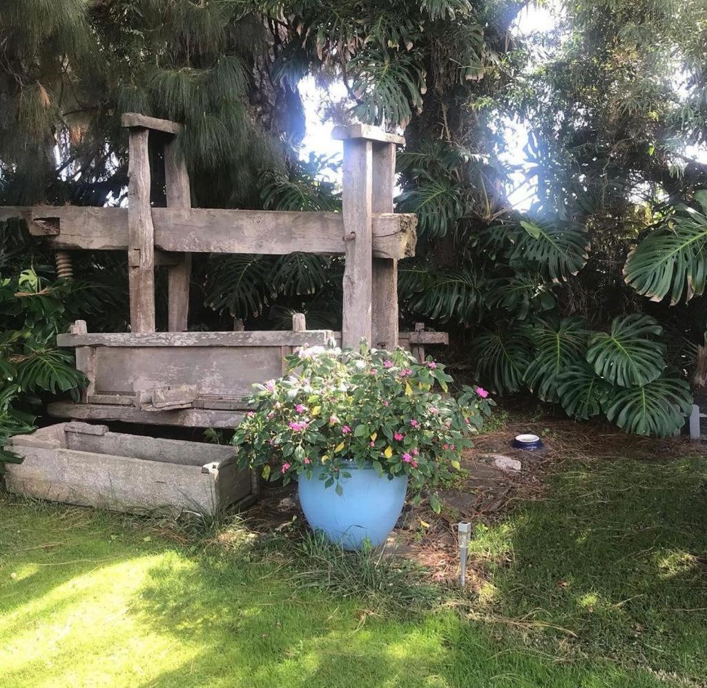 Casas La Principal Konuk evi San Pedro  Dış mekan fotoğraf