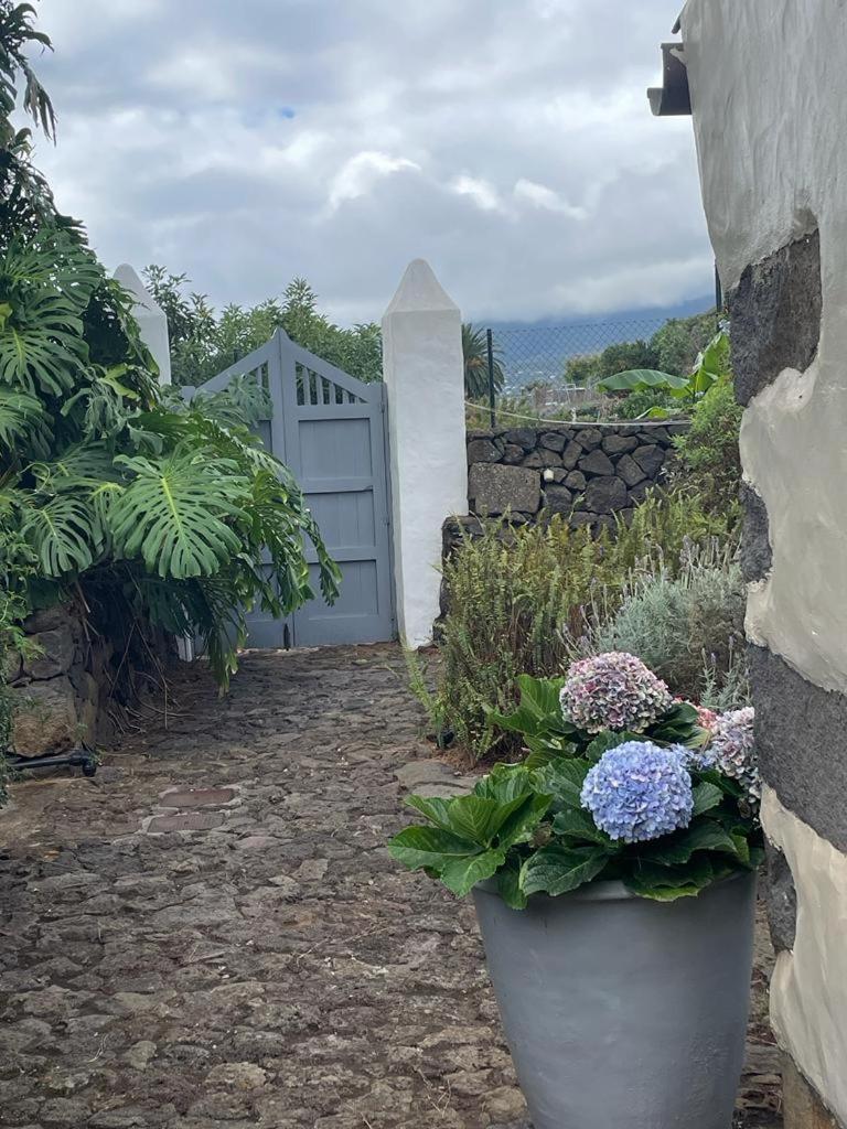 Casas La Principal Konuk evi San Pedro  Dış mekan fotoğraf