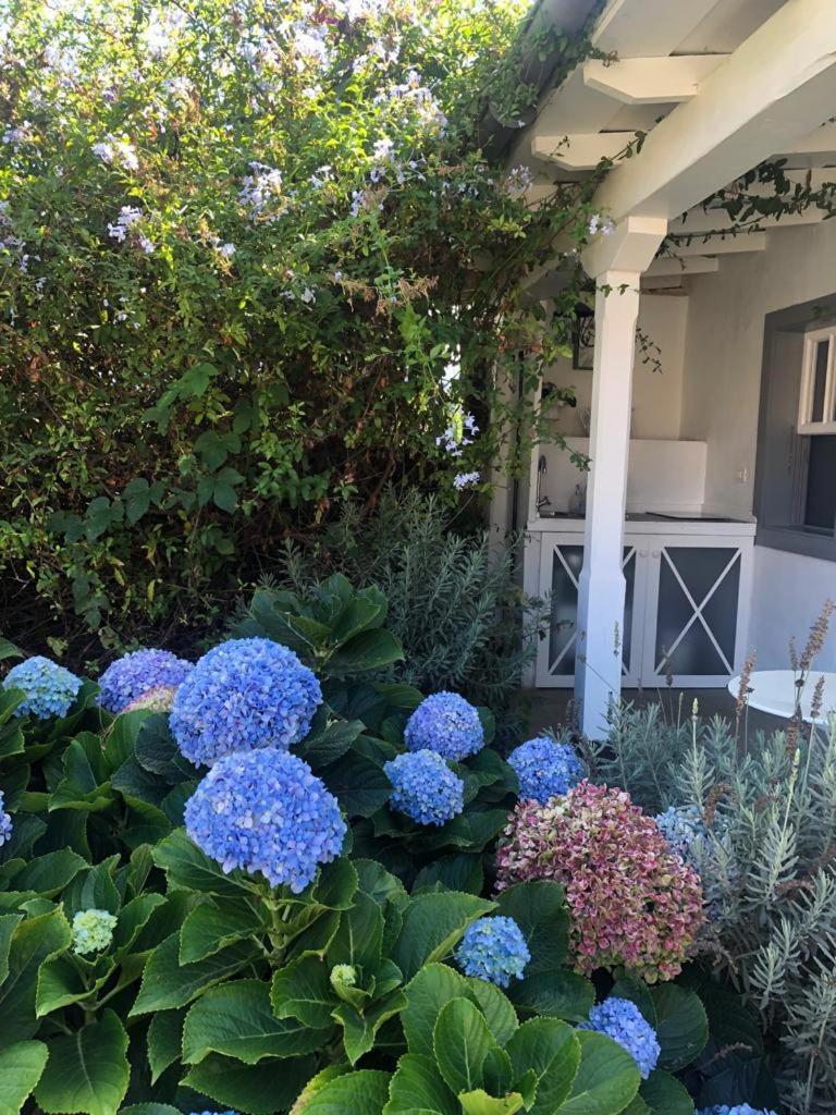 Casas La Principal Konuk evi San Pedro  Oda fotoğraf