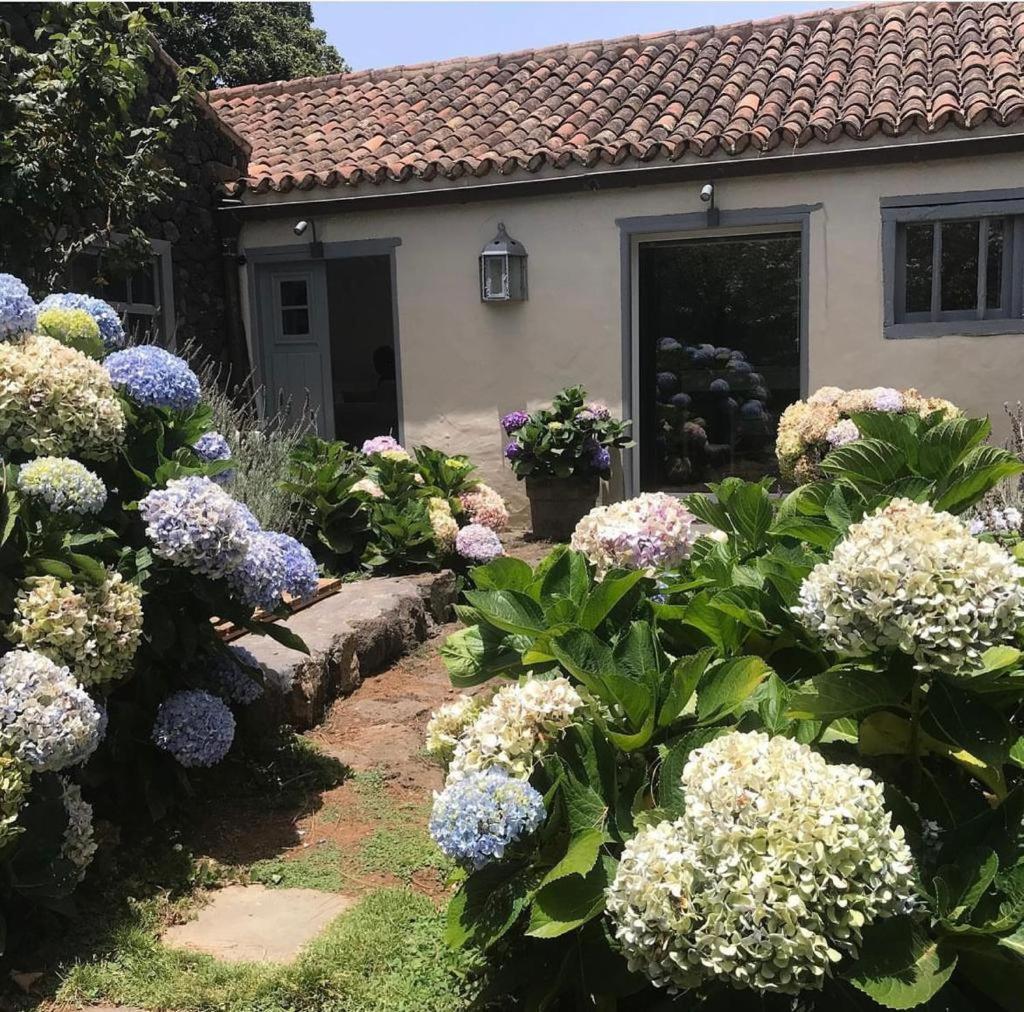 Casas La Principal Konuk evi San Pedro  Dış mekan fotoğraf